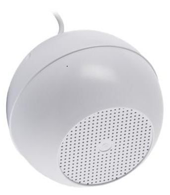 SP-10B Hanging Speaker